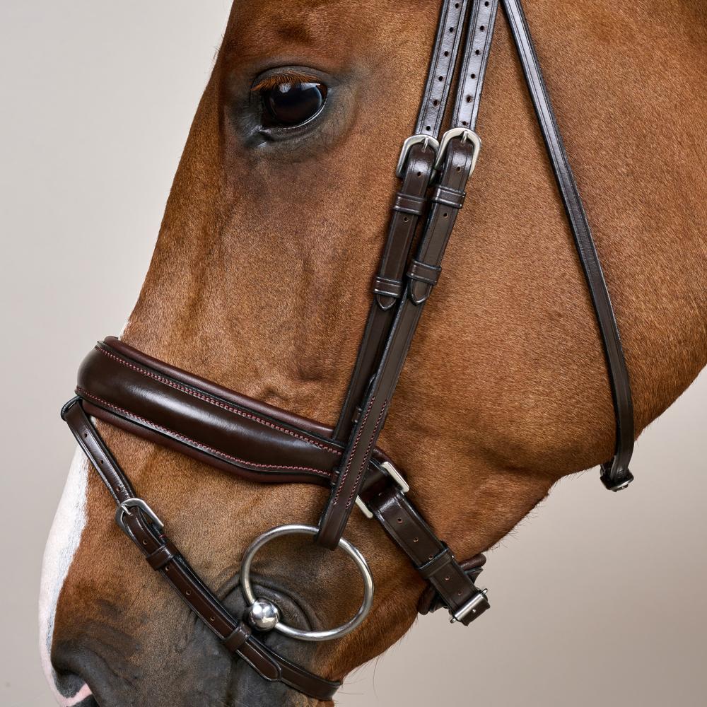 Dy'on Matte Large Crank Noseband Bridle With Flash
