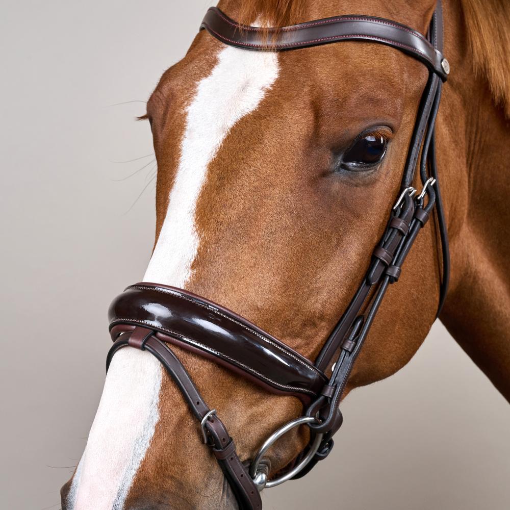 Dy'on Patent Large Crank Noseband Bridle With Flash