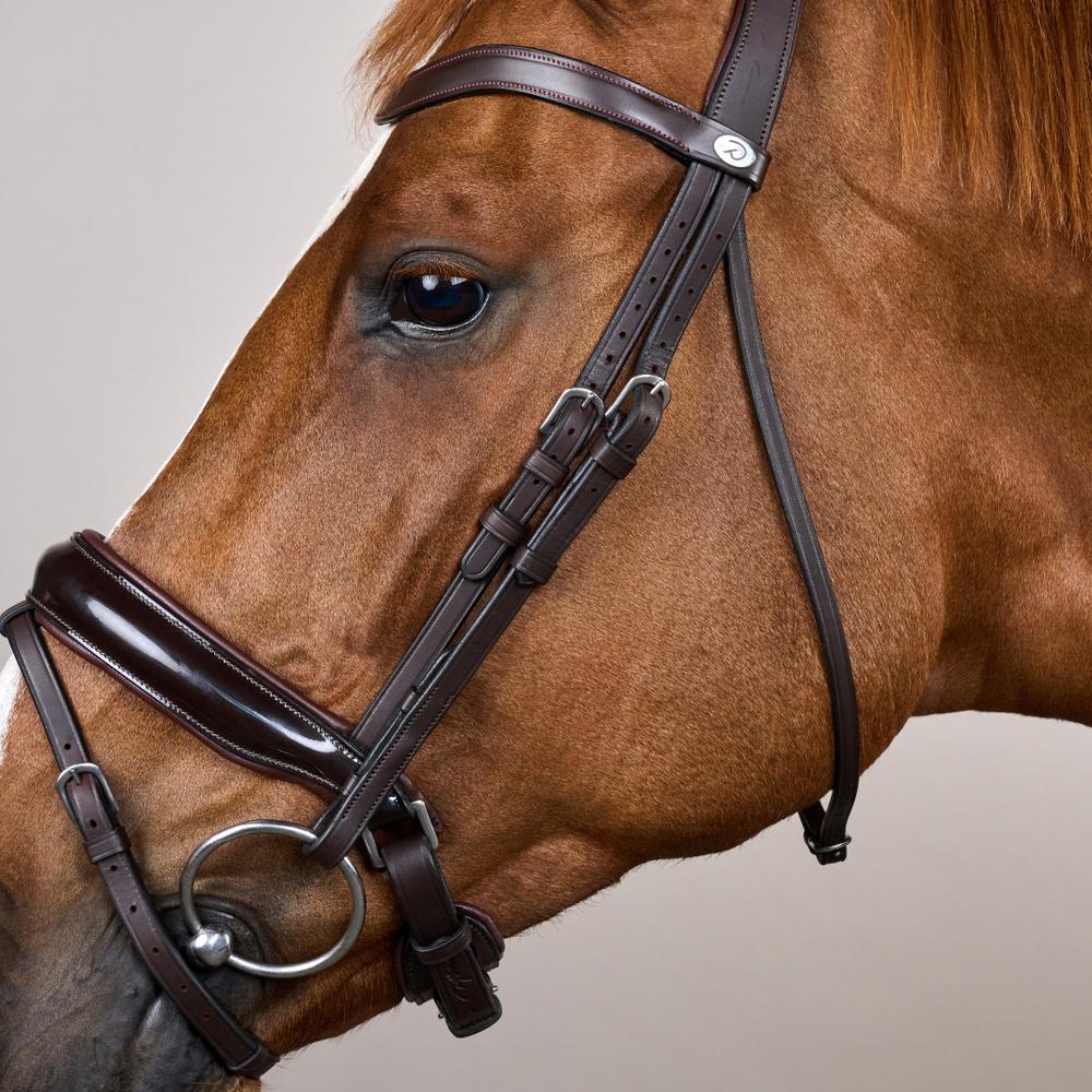 Dy'on Patent Large Crank Noseband Bridle With Flash