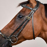 Dy'on Adjustable Drop Noseband Bridle D Collection