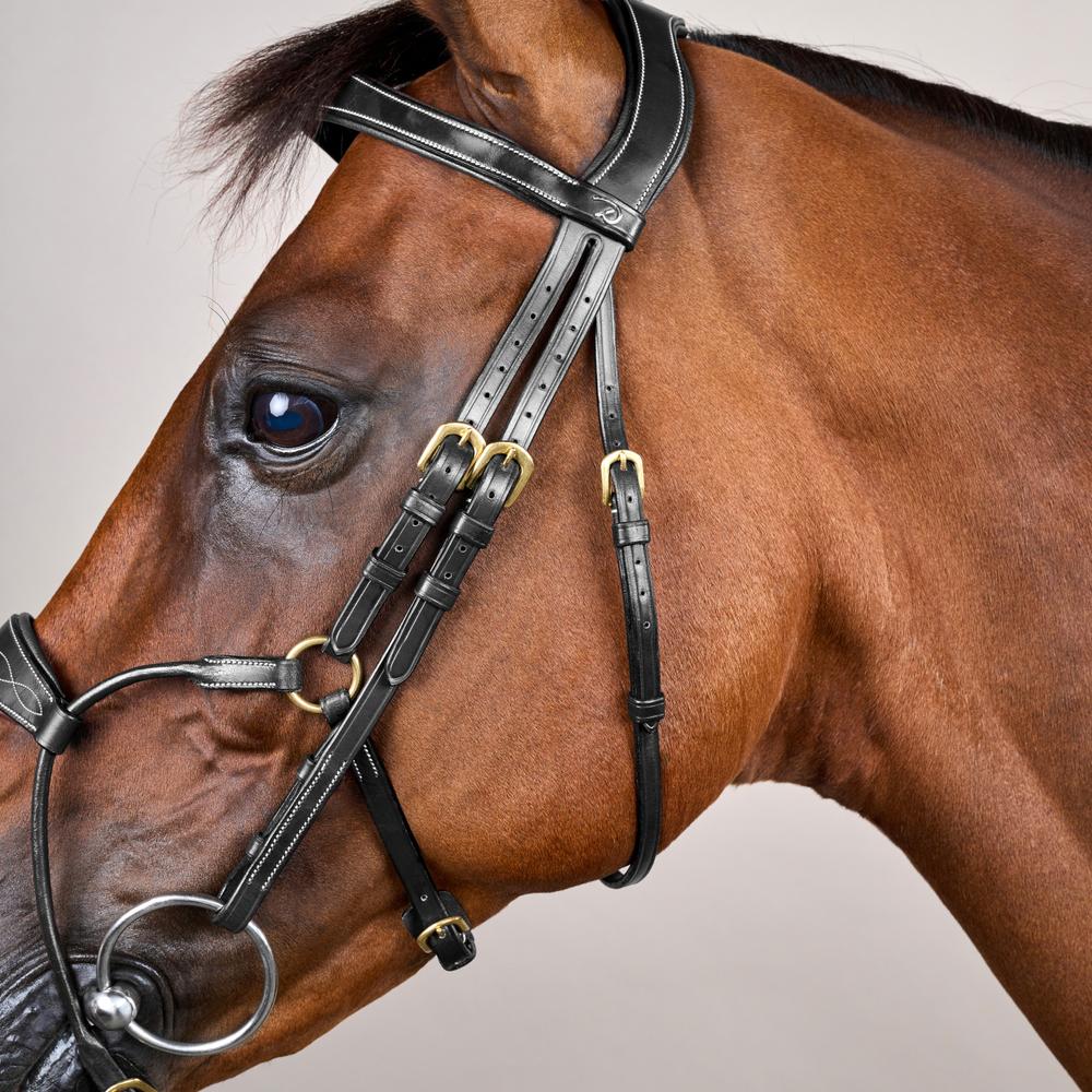 Dy'on Hybrid Noseband Bridle Leather