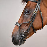 Dy'on Hybrid Noseband Bridle Leather