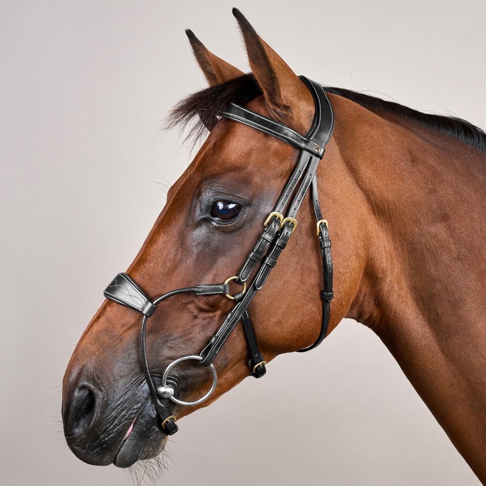 Dy'on Hybrid Noseband Bridle Leather