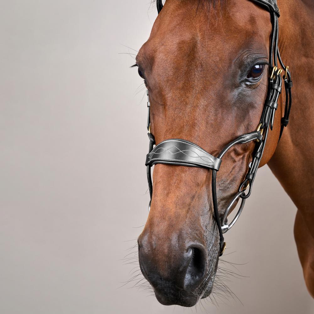 Dy'on Hybrid Noseband Bridle Leather