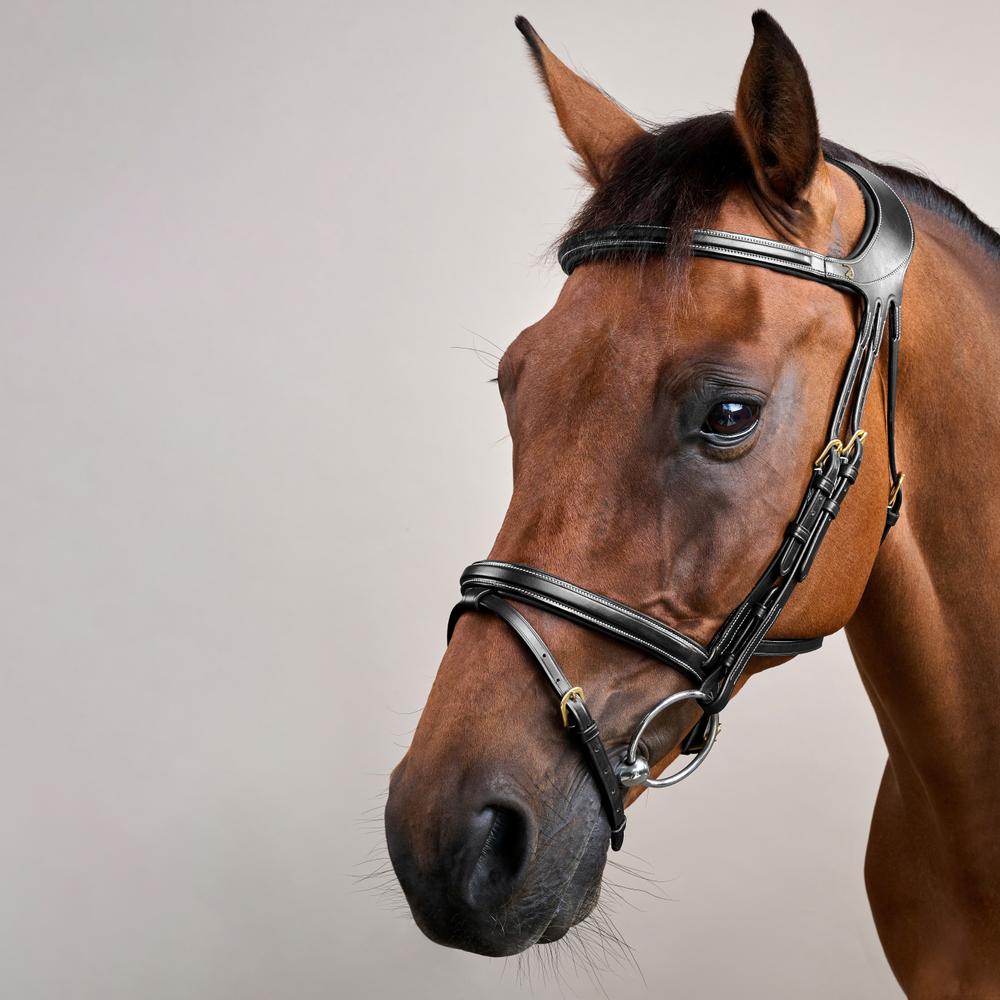 Dy'on Difference Bridle