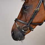 Dy'on Difference Bridle
