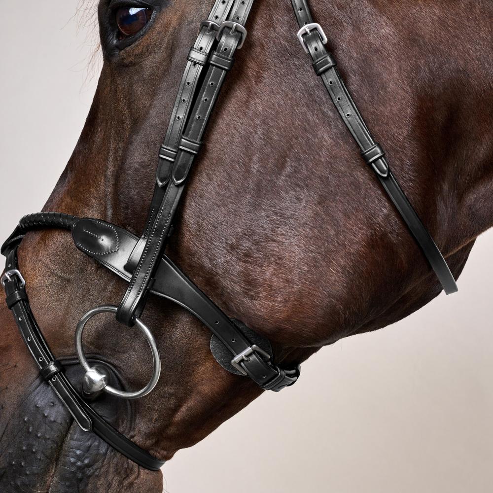 Dy'on Braided Noseband Bridle With Removable Flash