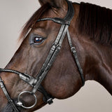 Dy'on Braided Noseband Bridle With Removable Flash