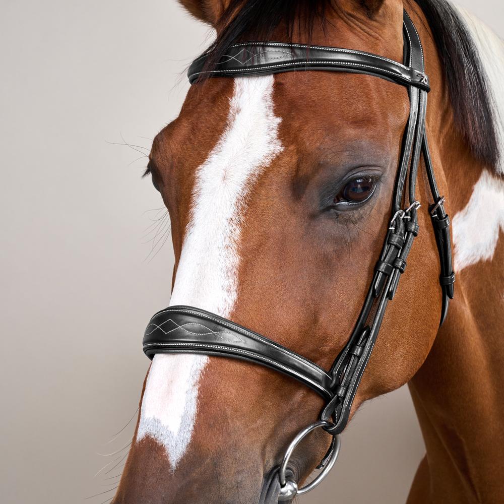 Dy'on Anatomic Noseband Without Flash