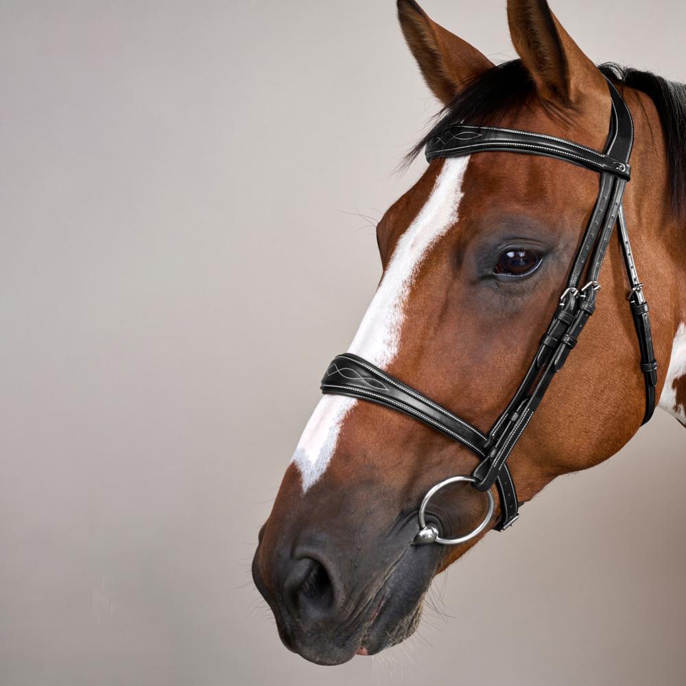 Dy'on Anatomic Noseband Without Flash