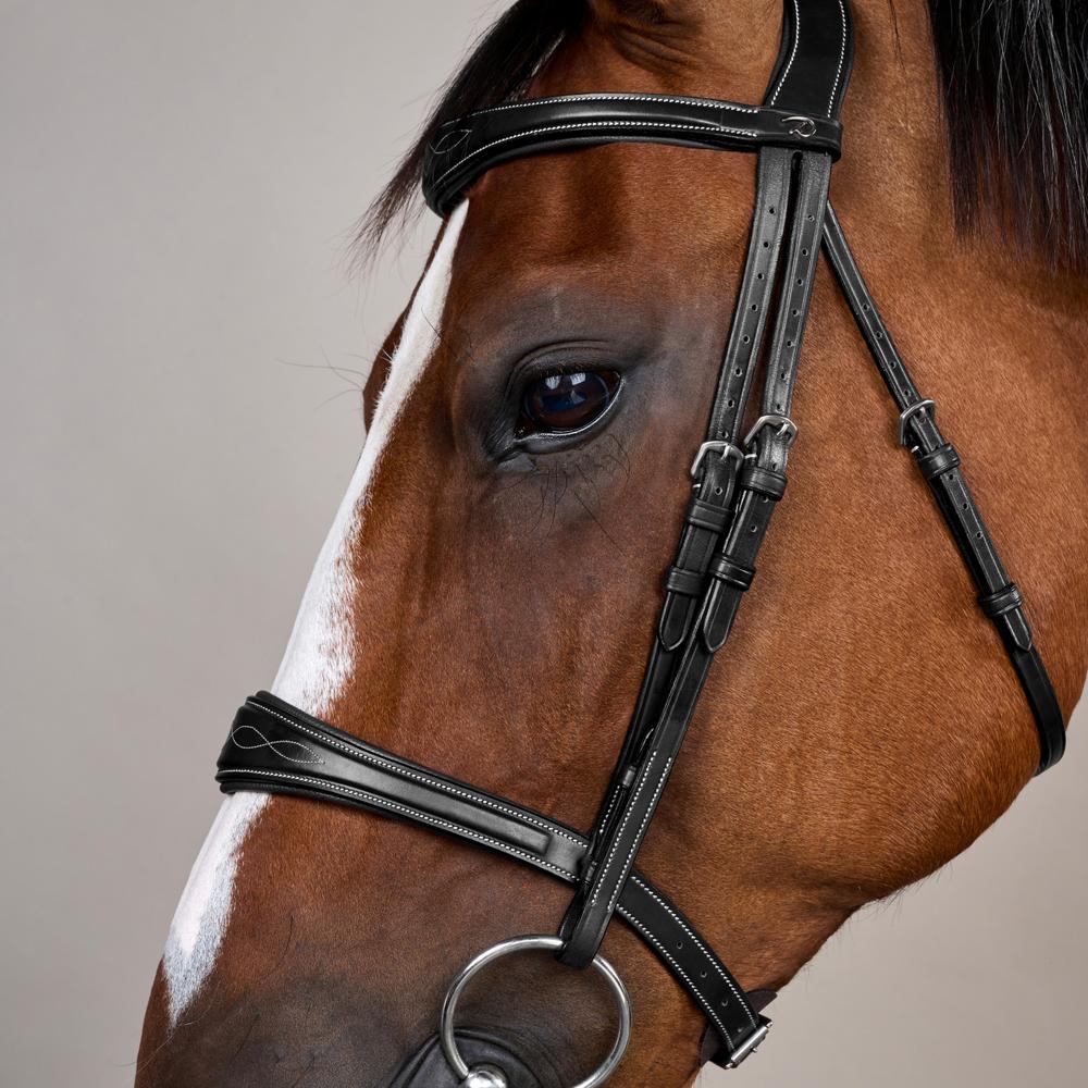 Dy'on Anatomic Noseband Without Flash