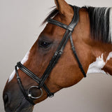 Dy'on Flash Noseband Bridle US Collection