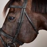 Dy'on Anatomic Flash Noseband Bridle US Collection