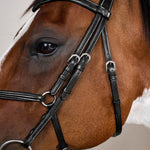 Dy'on Figure 8 Noseband Bridle Working Collection