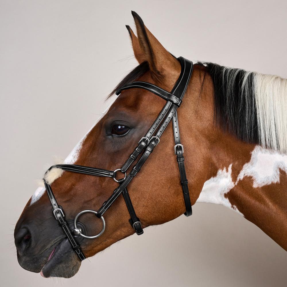 Dy'on Figure 8 Noseband Bridle Working Collection