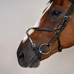 Dy'on Figure 8 Noseband Bridle Working Collection