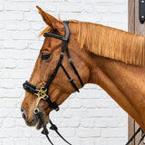 Dy'on Hackamore Pony Collection