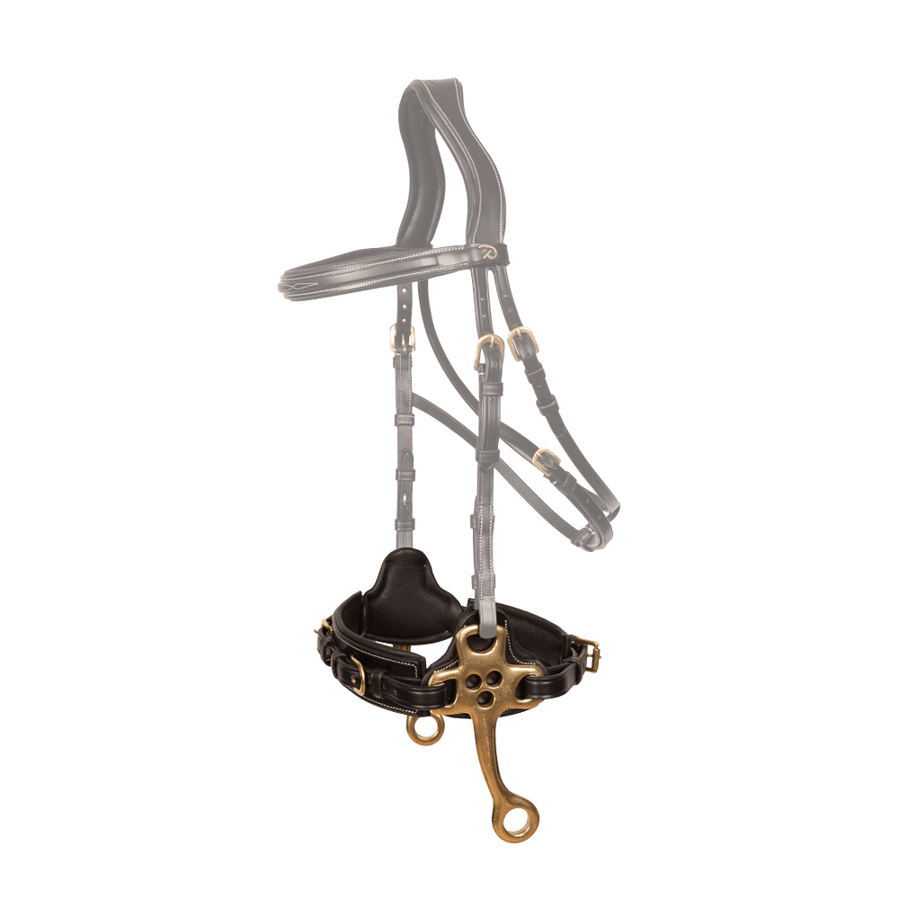 Dy'on Hackamore Pony Collection