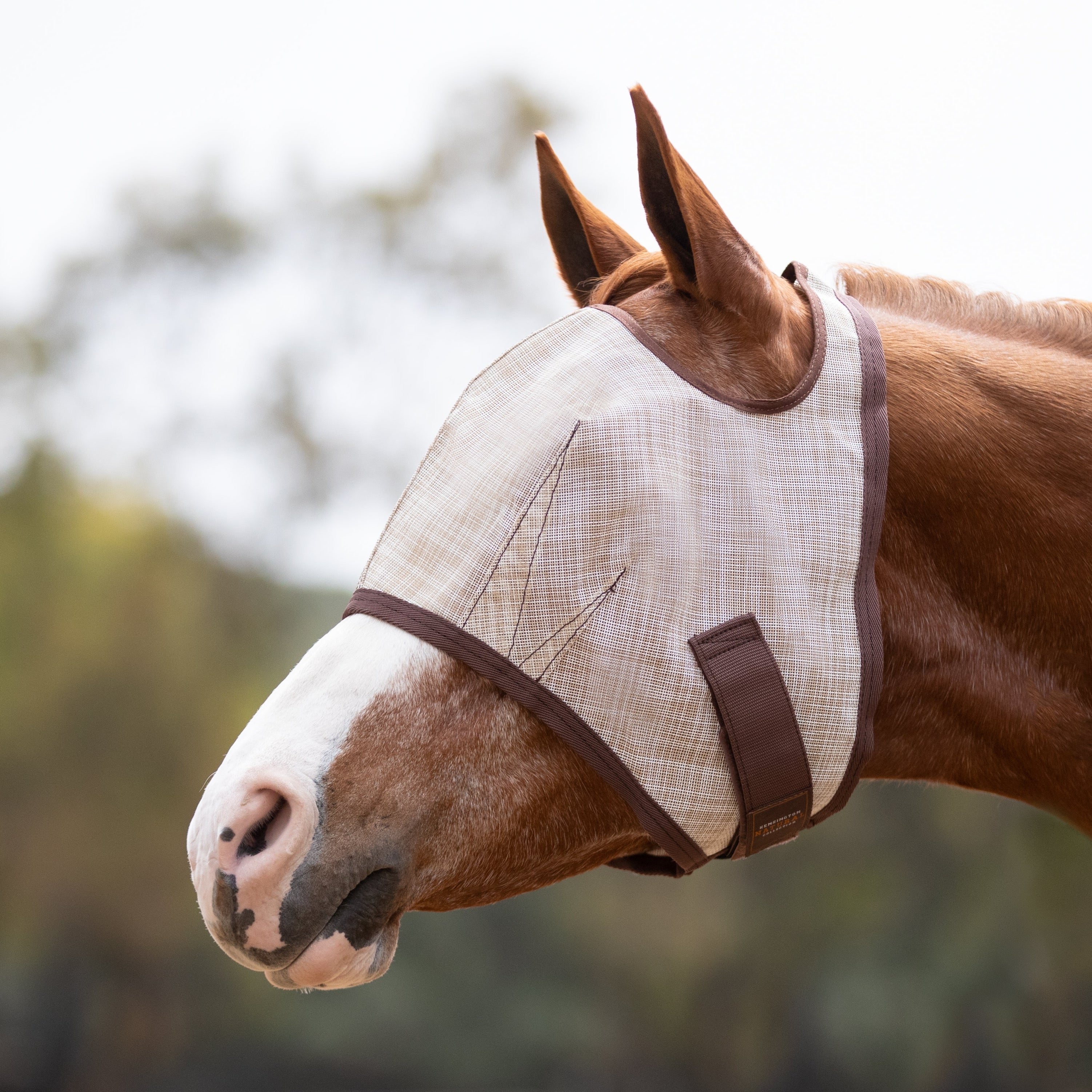 73% UV Draft Fly Mask with Web Trim - Open Ear Design with Forelock Freedom - Kensington Protective Products - Equiluxe Tack