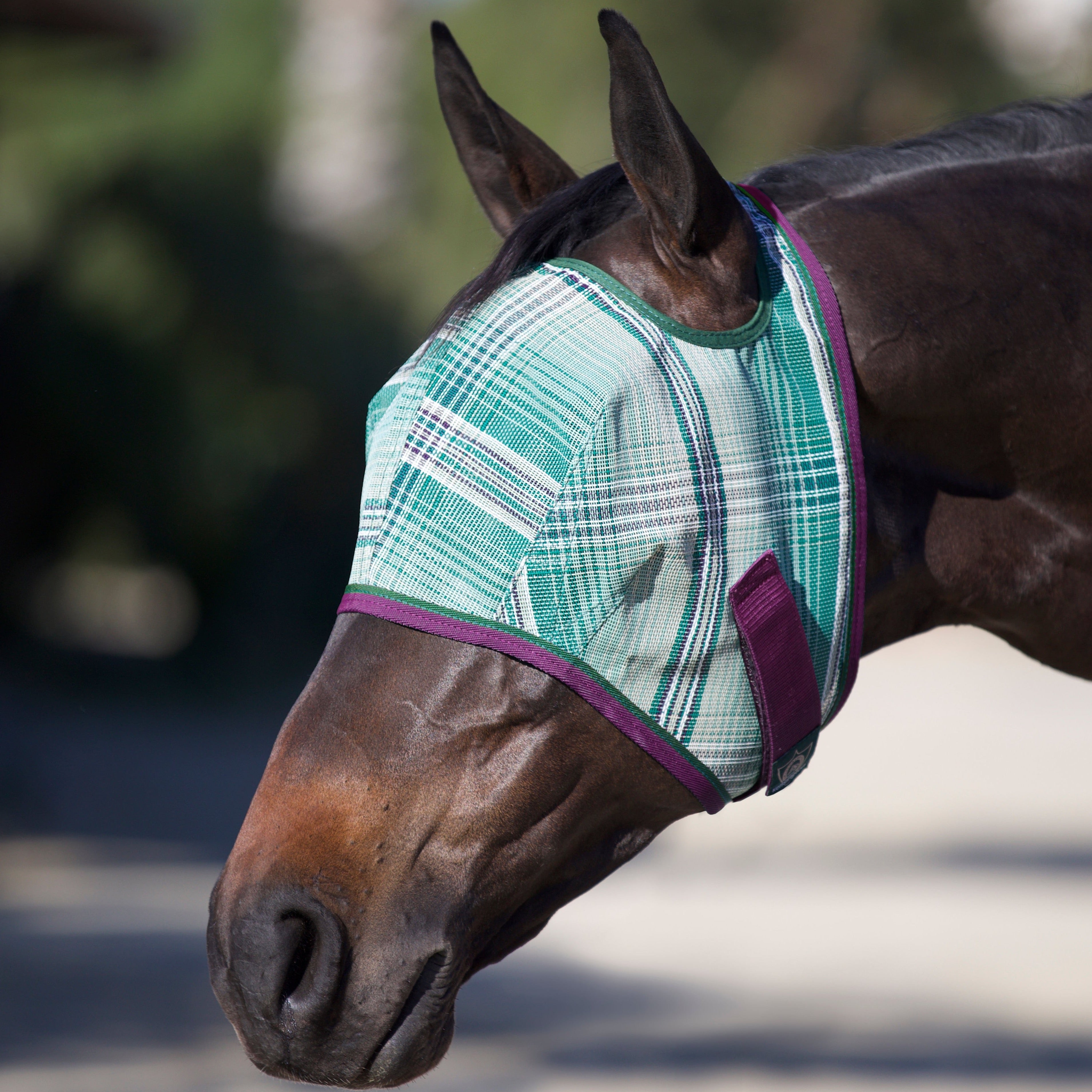 73% UV Draft Fly Mask with Web Trim - Open Ear Design with Forelock Freedom - Kensington Protective Products - Equiluxe Tack