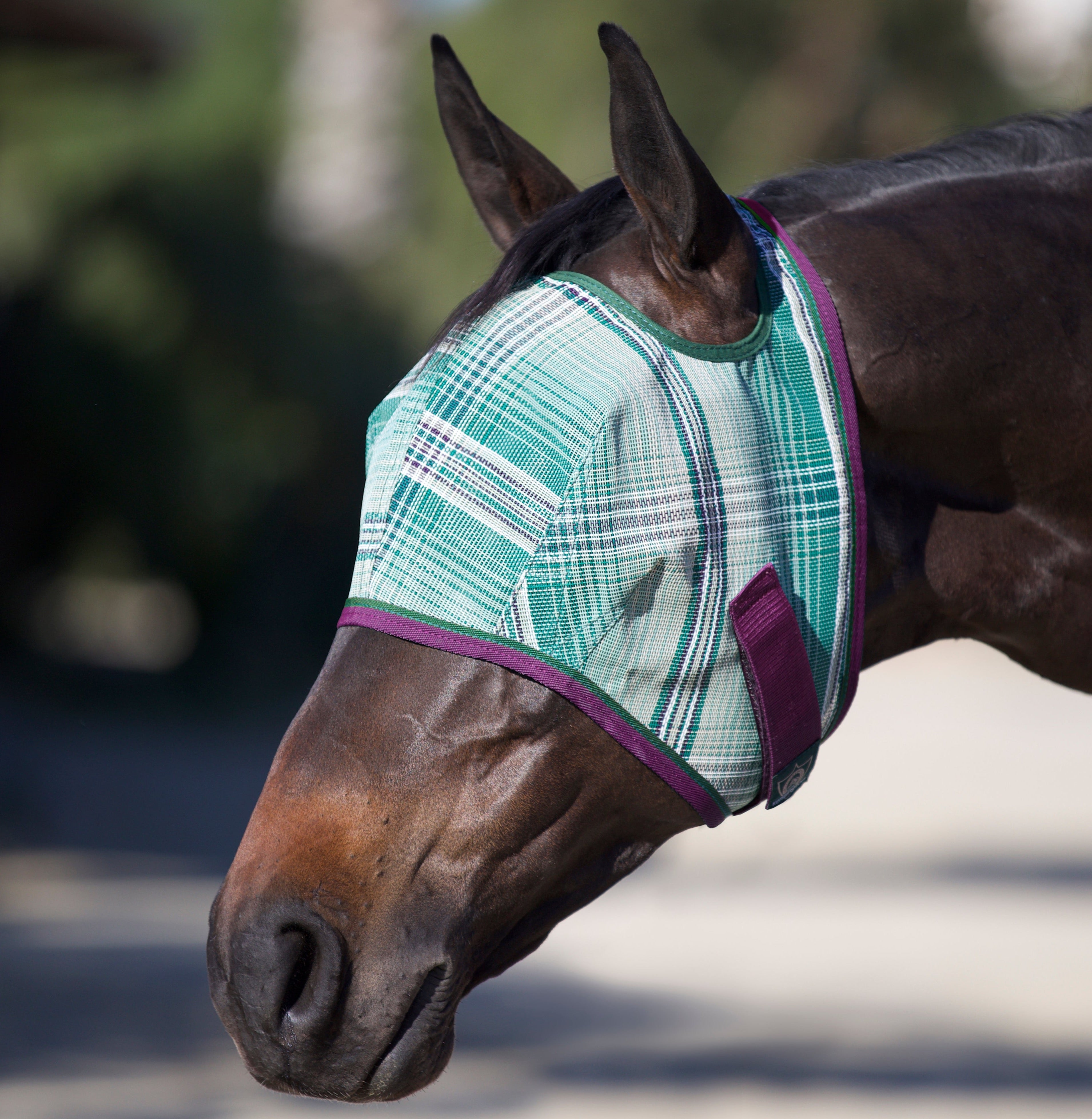 73% UV Draft Fly Mask with Web Trim - Open Ear Design with Forelock Freedom - Kensington Protective Products - Equiluxe Tack