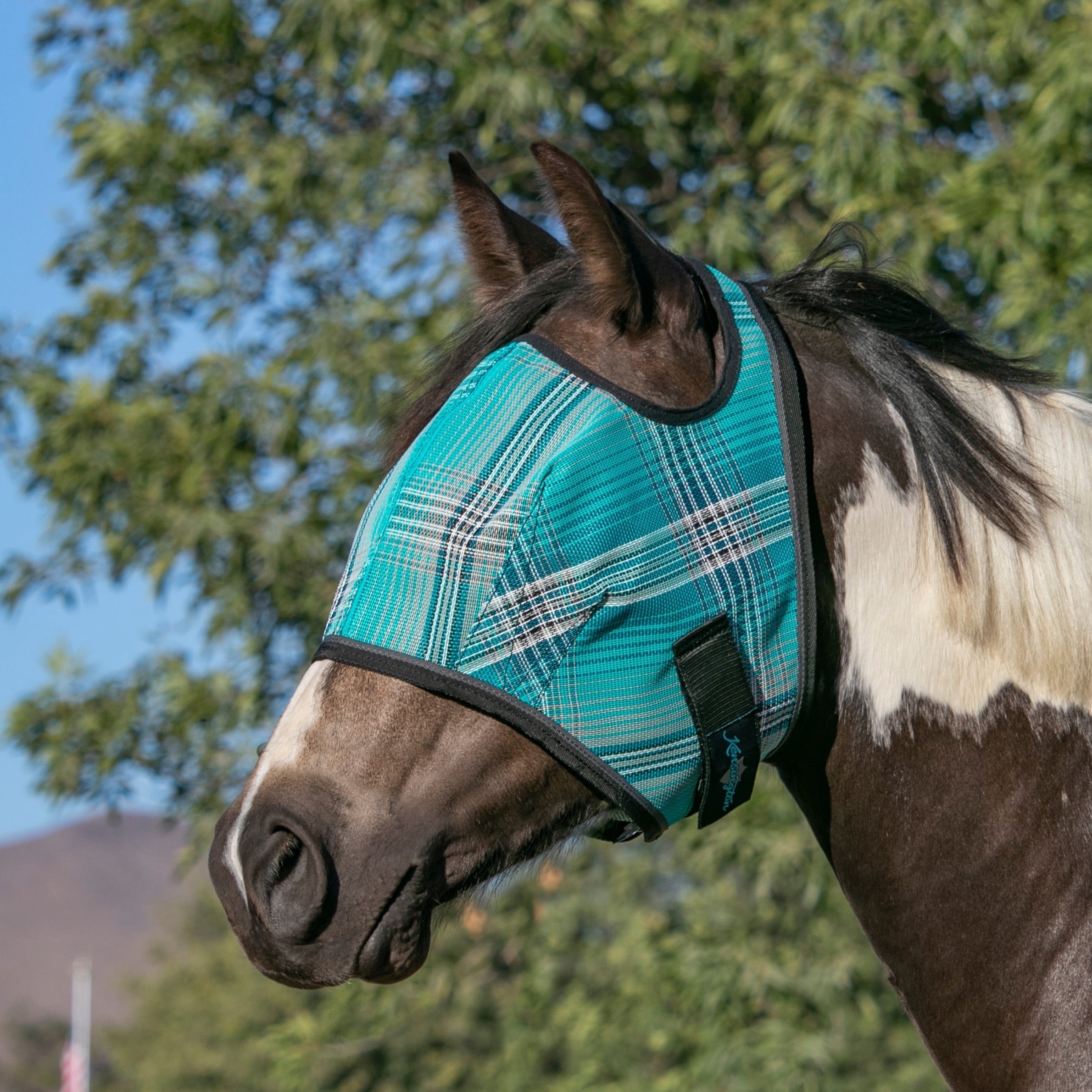 73% UV Draft Fly Mask with Web Trim - Open Ear Design with Forelock Freedom - Kensington Protective Products - Equiluxe Tack