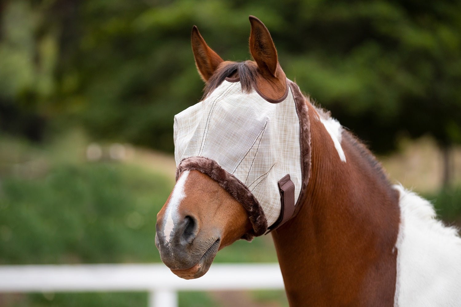 73% UV Fly Mask with Fleece Trim - Dual Ear Opening & Forelock Freedom - Kensington Protective Products - Equiluxe Tack