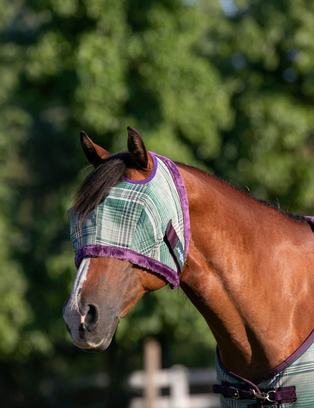 73% UV Fly Mask with Fleece Trim - Dual Ear Opening & Forelock Freedom - Kensington Protective Products - Equiluxe Tack