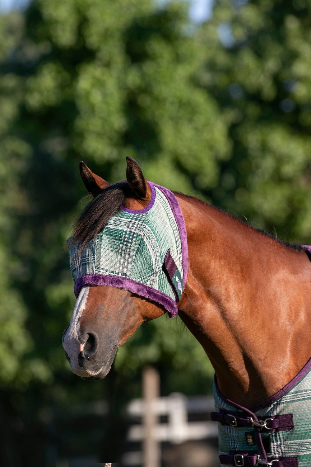 73% UV Fly Mask with Fleece Trim - Dual Ear Opening & Forelock Freedom - Kensington Protective Products - Equiluxe Tack