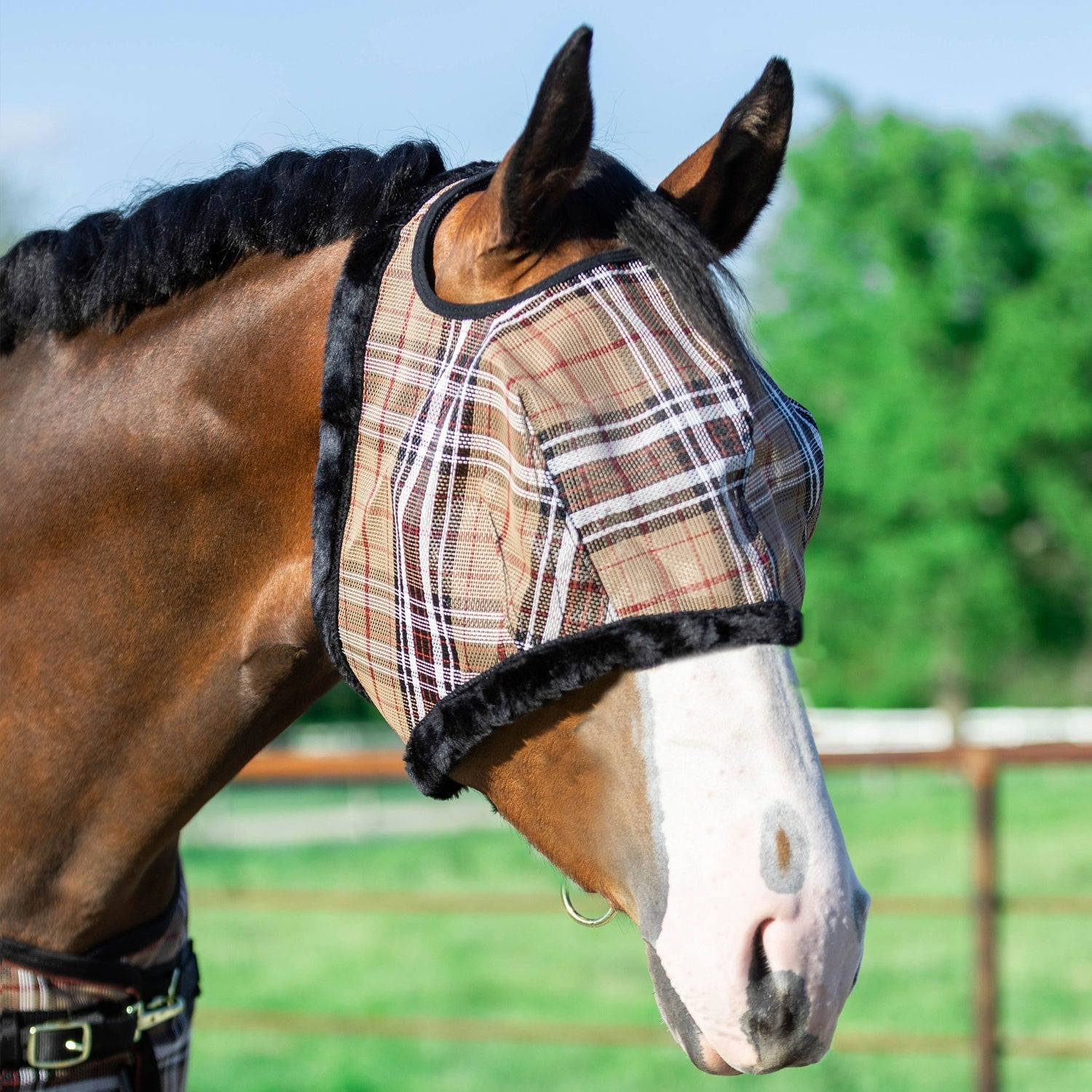 73% UV Fly Mask with Fleece Trim - Open Ear Design with Forelock Freedom - Kensington Protective Products - Equiluxe Tack