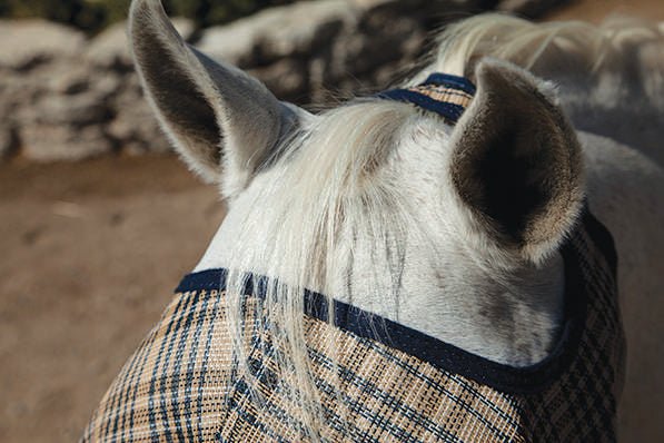 73% UV Fly Mask with Fleece Trim - Open Ear Design with Forelock Freedom - Kensington Protective Products - Equiluxe Tack