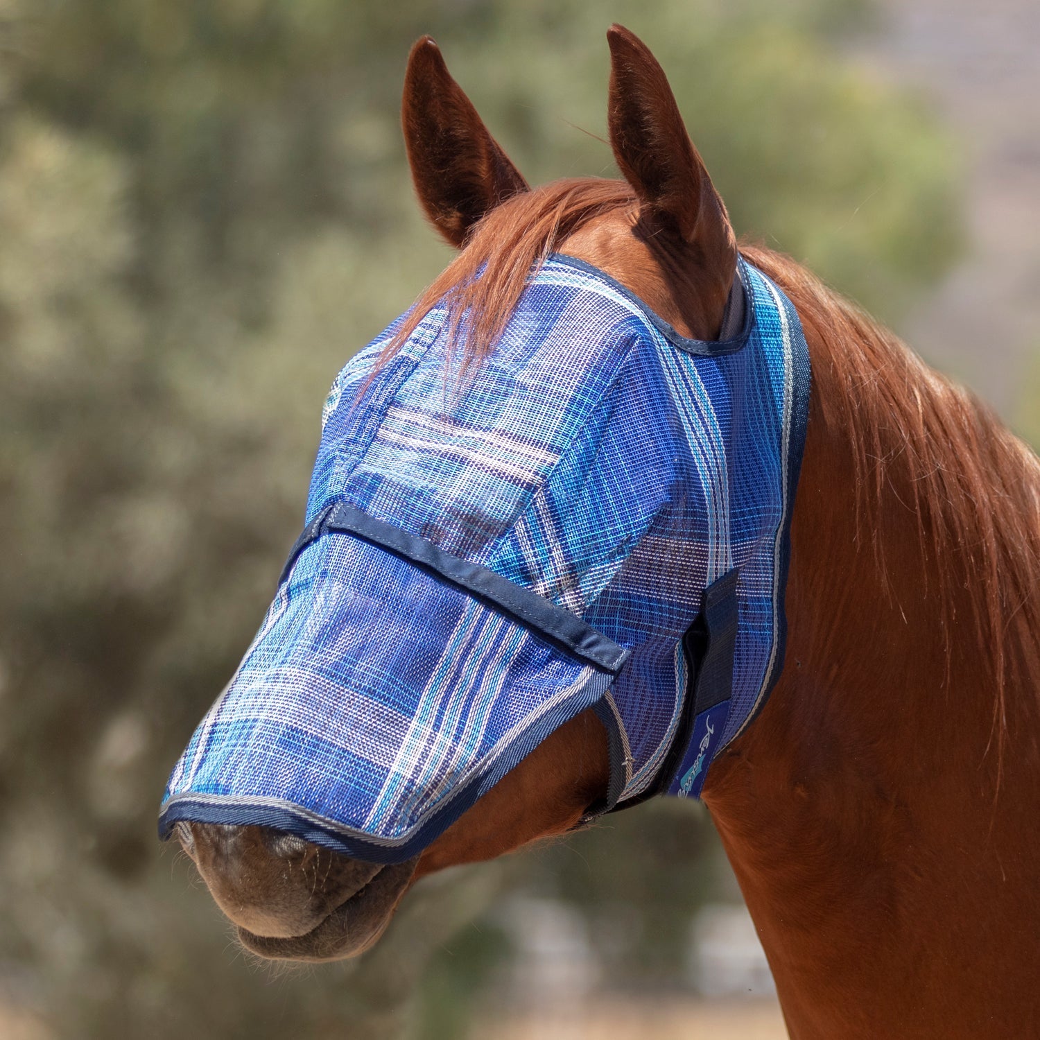 73% UV Fly Mask with Removable Nose - Kensington Protective Products - Equiluxe Tack