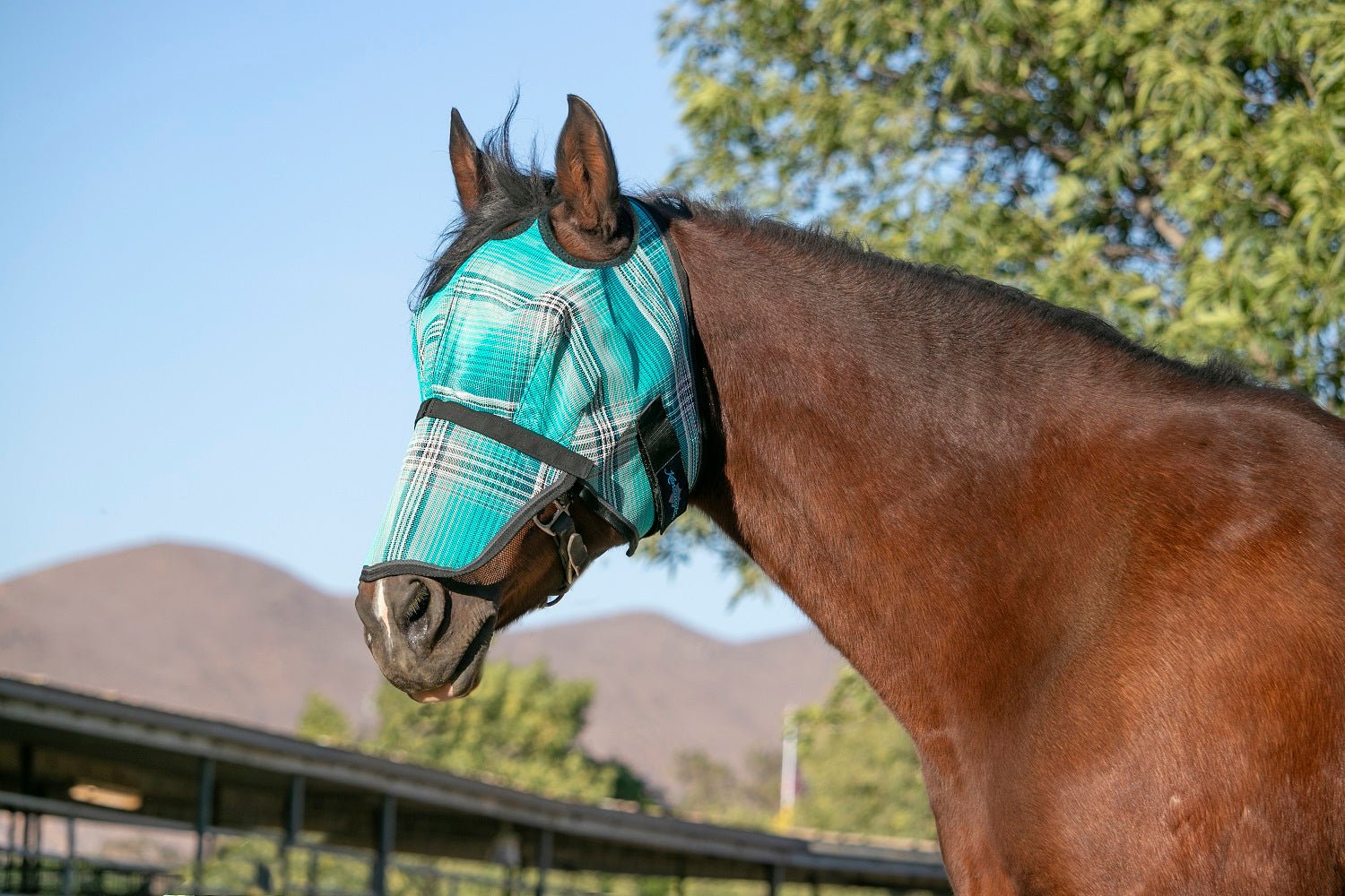 73% UV Fly Mask with Removable Nose - Kensington Protective Products - Equiluxe Tack