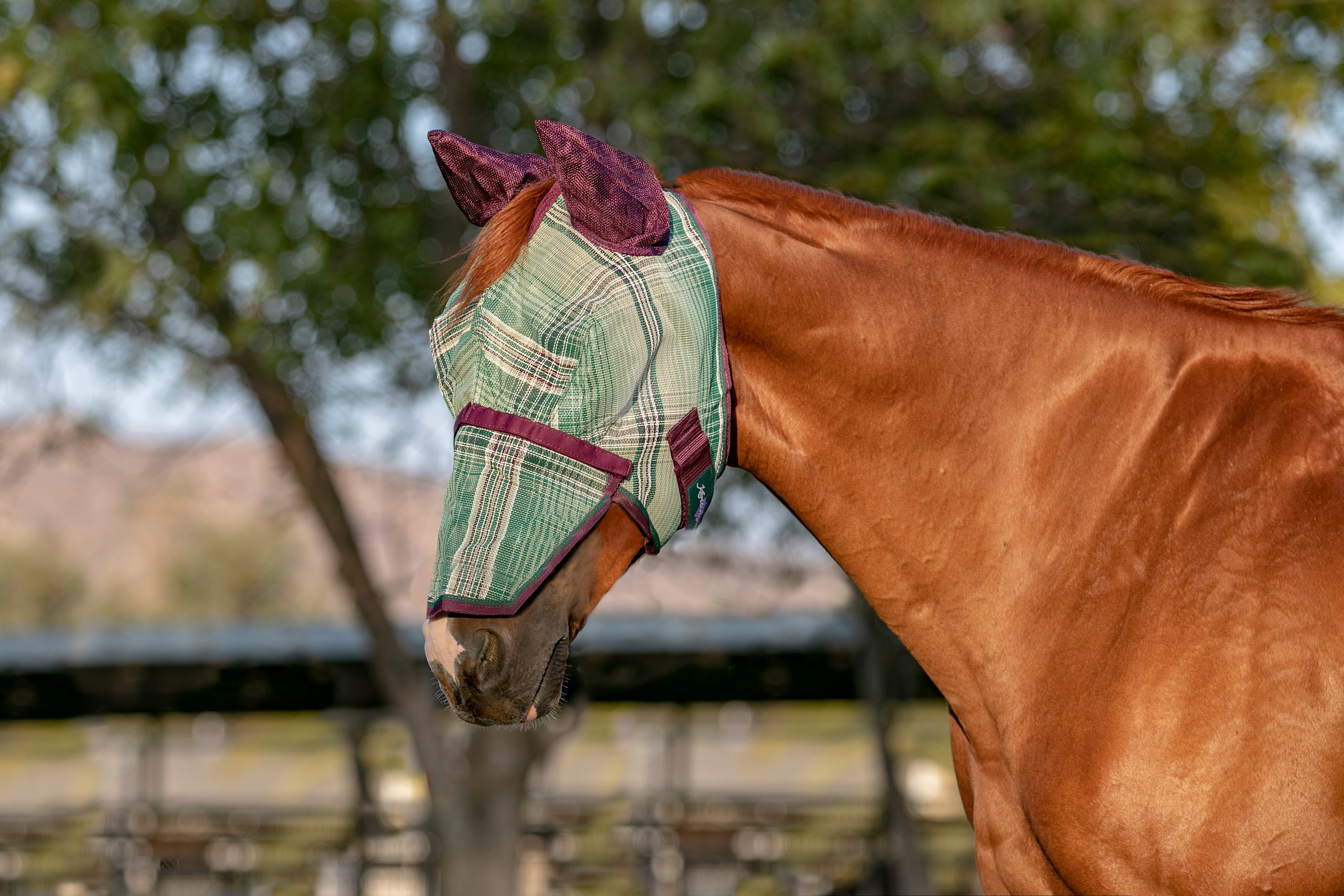 73% UV Fly Mask with Removable Nose - Soft Mesh Ears & Forelock Opening - Kensington Protective Products - Equiluxe Tack