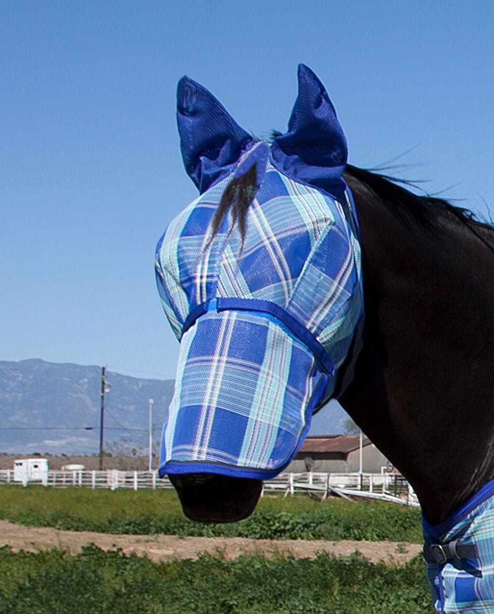 73% UV Fly Mask with Removable Nose - Soft Mesh Ears & Forelock Opening - Kensington Protective Products - Equiluxe Tack