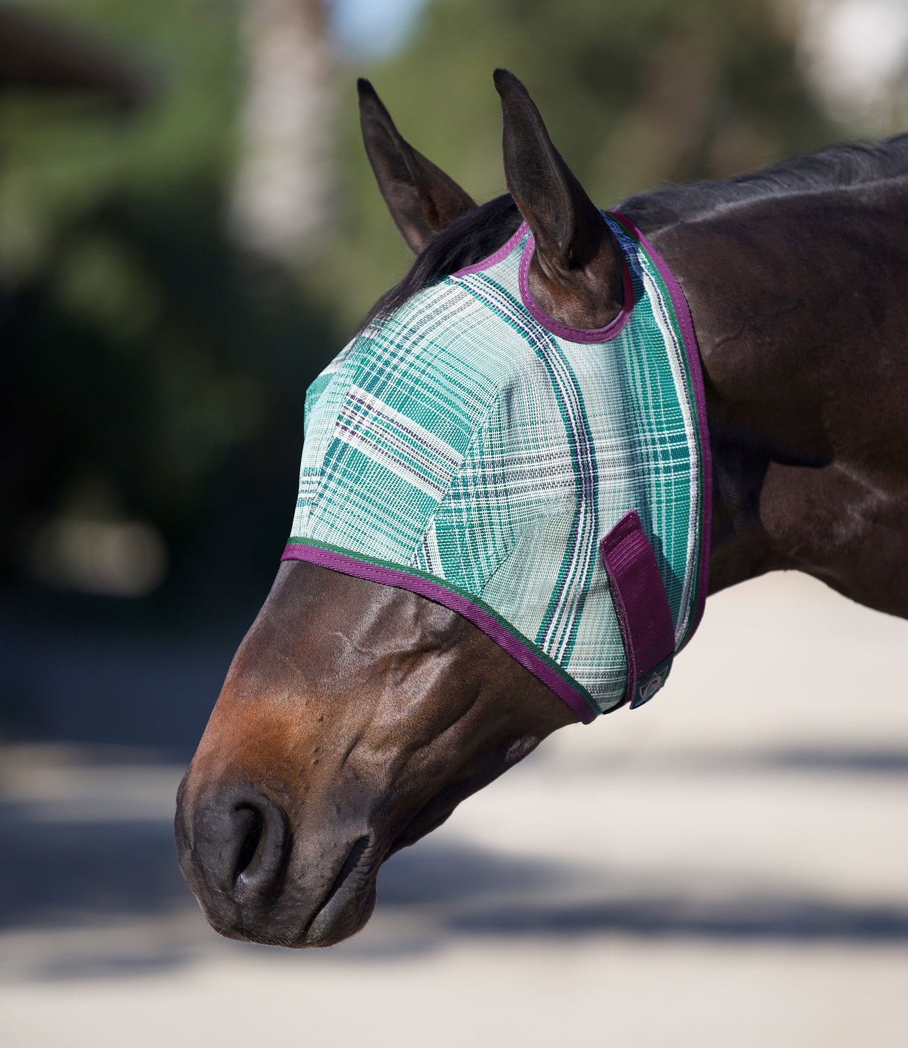 73% UV Fly Mask with Web Trim - Dual Ear Opening & Forelock Freedom - Kensington Protective Products - Equiluxe Tack