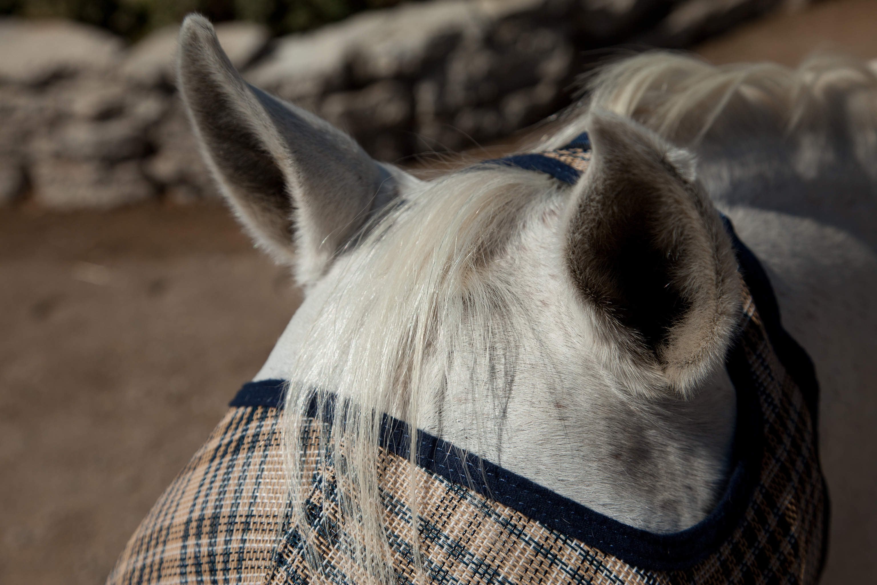 73% UV Fly Mask with Web Trim - Open Ear Design with Forelock Freedom - Kensington Protective Products - Equiluxe Tack