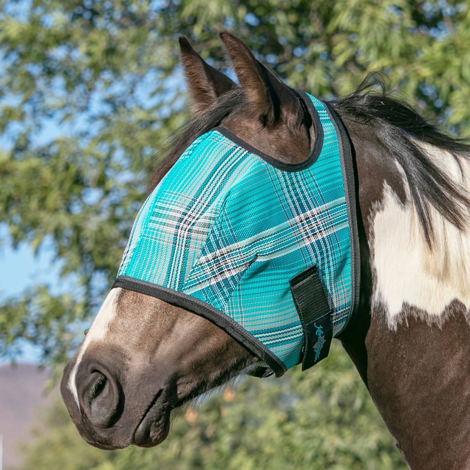 73% UV Fly Mask with Web Trim - Open Ear Design with Forelock Freedom - Kensington Protective Products - Equiluxe Tack