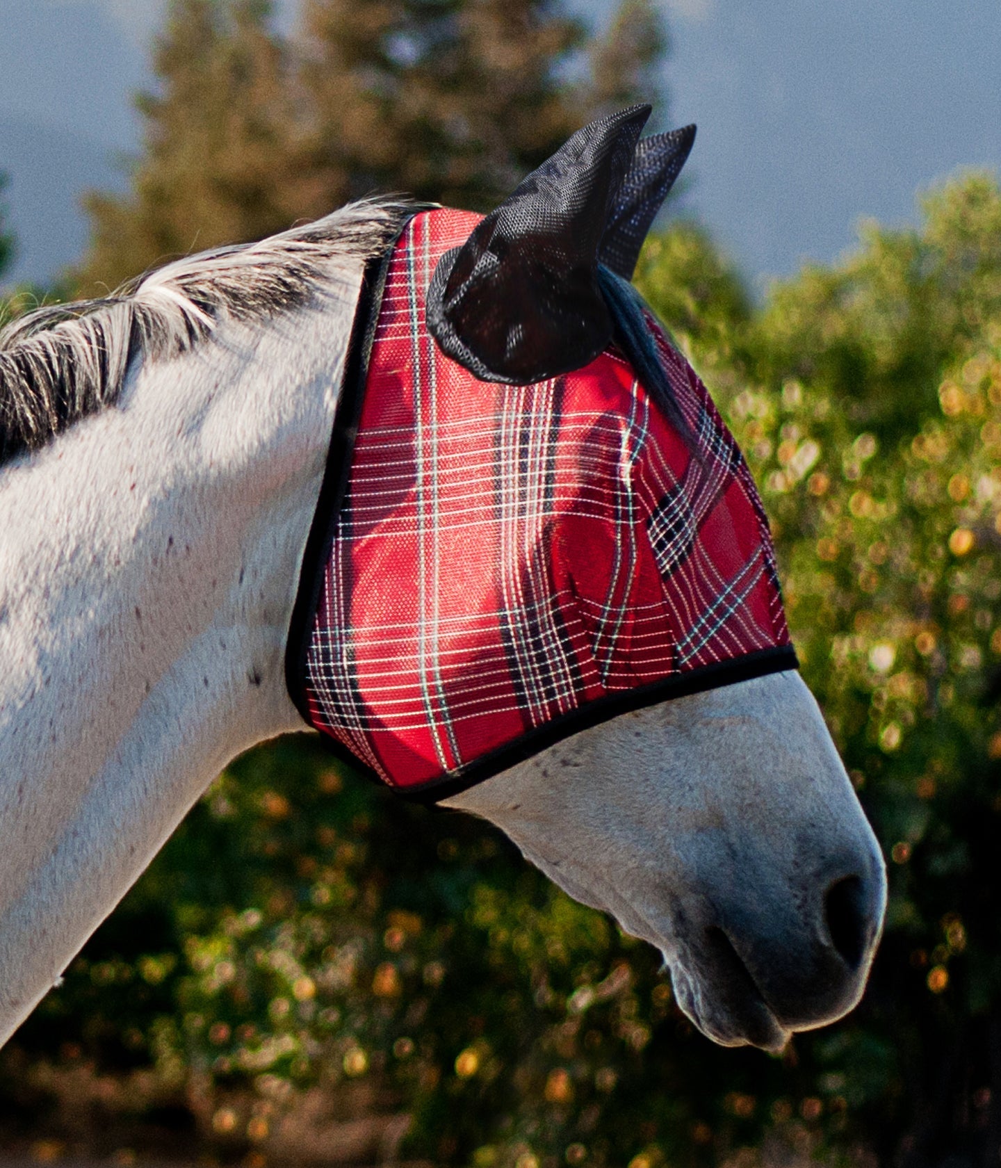 73% UV Fly Mask with Web Trim - Soft Mesh Ears & Forelock Opening  - Kensington Protective Products - Equiluxe Tack