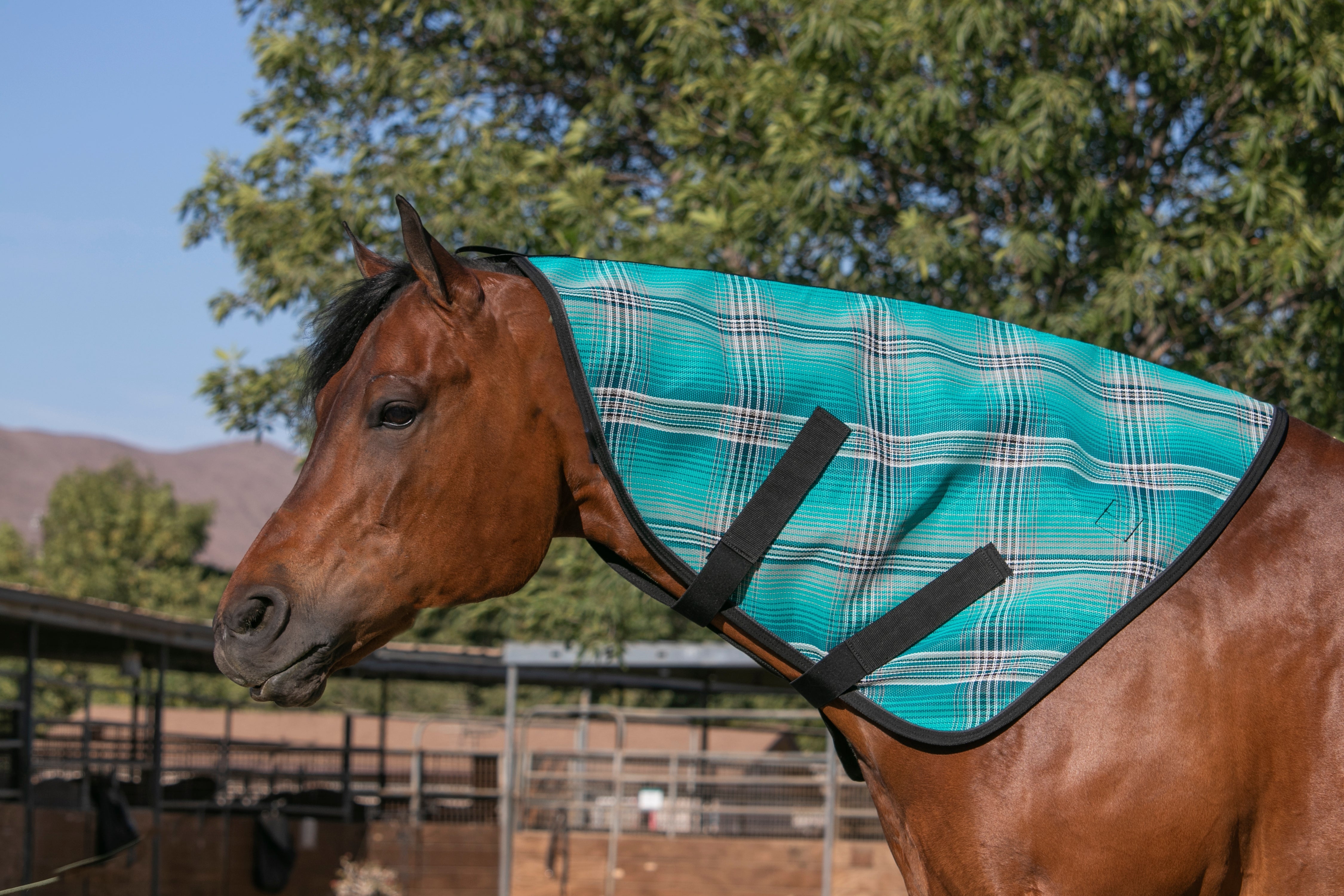 73% UV Horse Protective Neck Cover - Kensington Protective Products - Equiluxe Tack