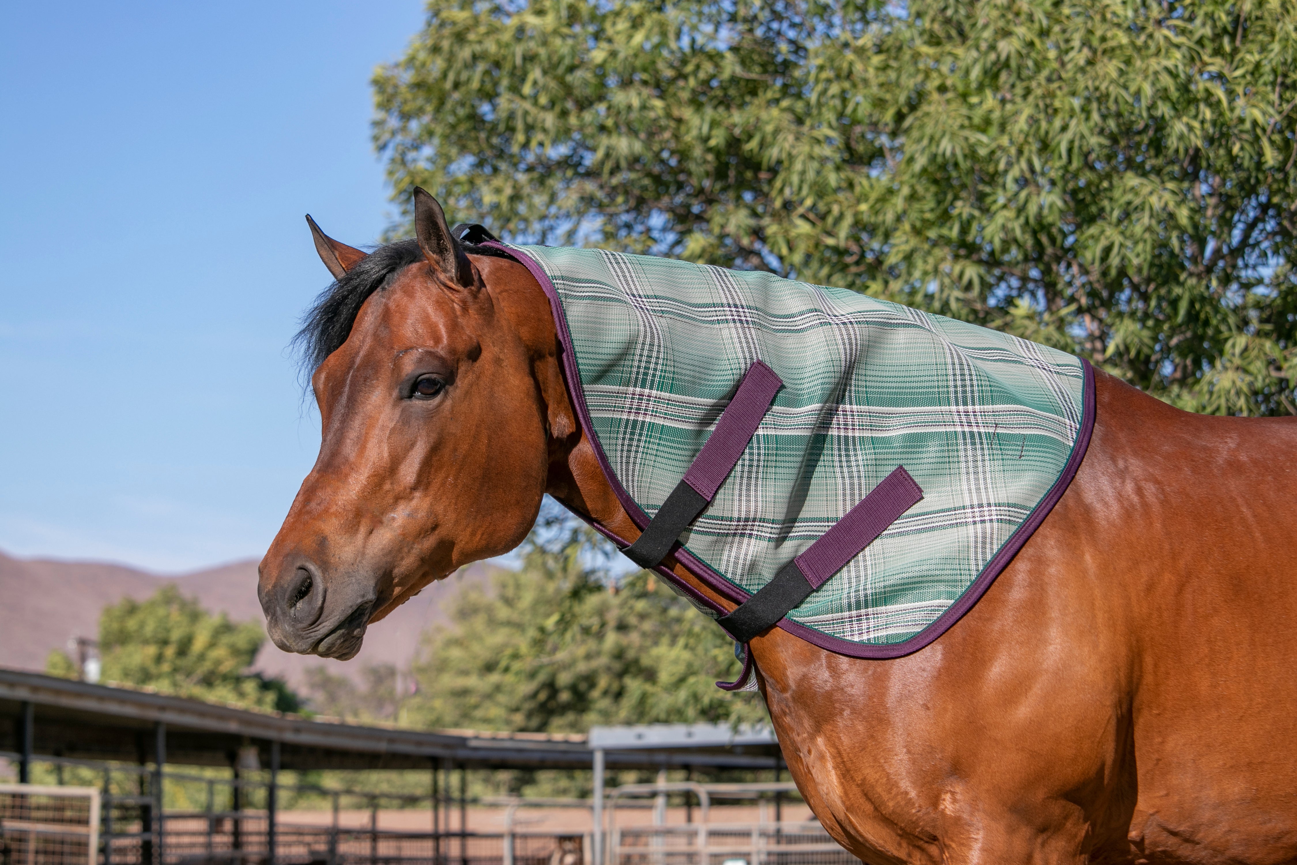 73% UV Horse Protective Neck Cover - Kensington Protective Products - Equiluxe Tack