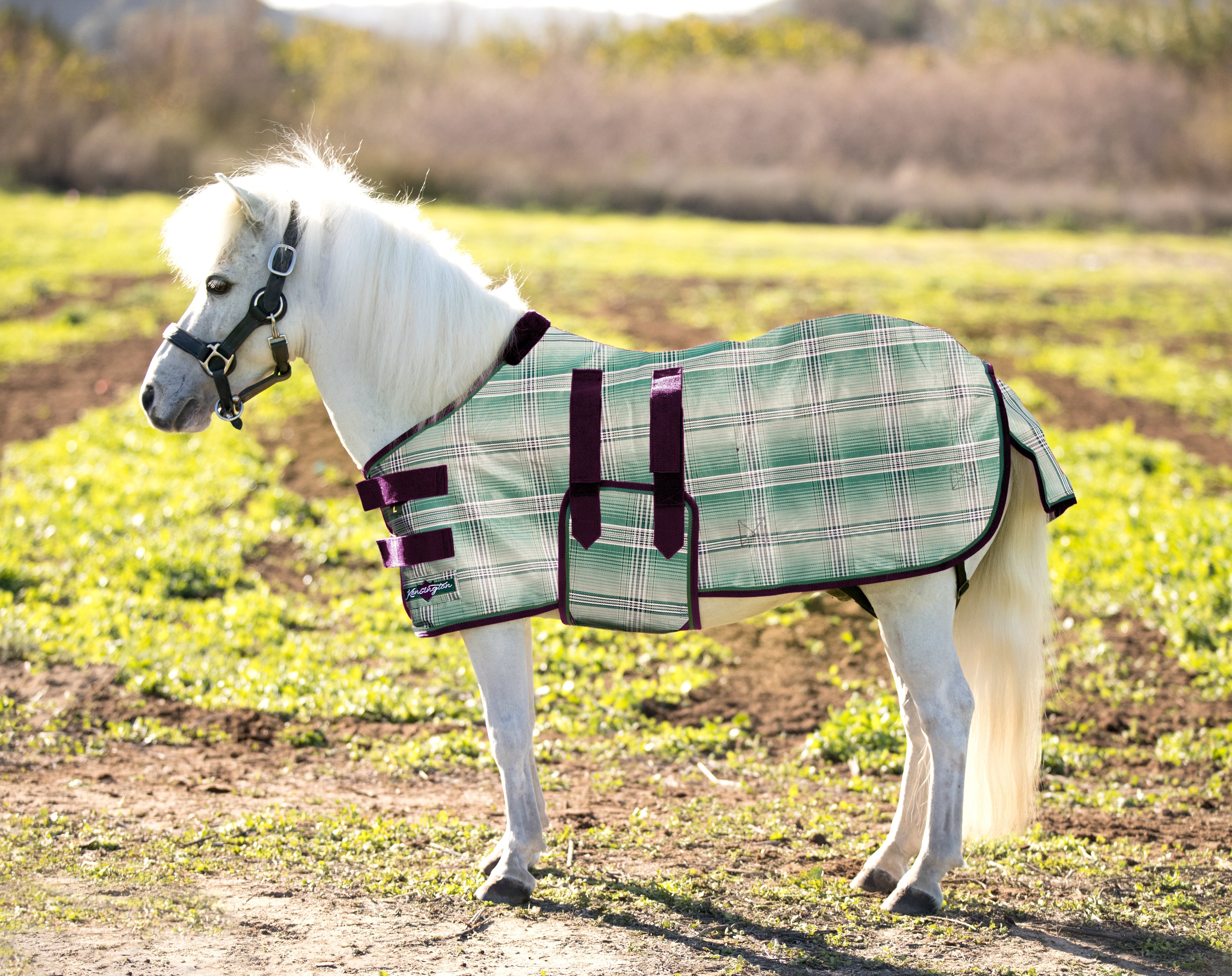 73% UV Mini Protective Fly Sheet Designed for an ideal Fit - Kensington Protective Products - Equiluxe Tack