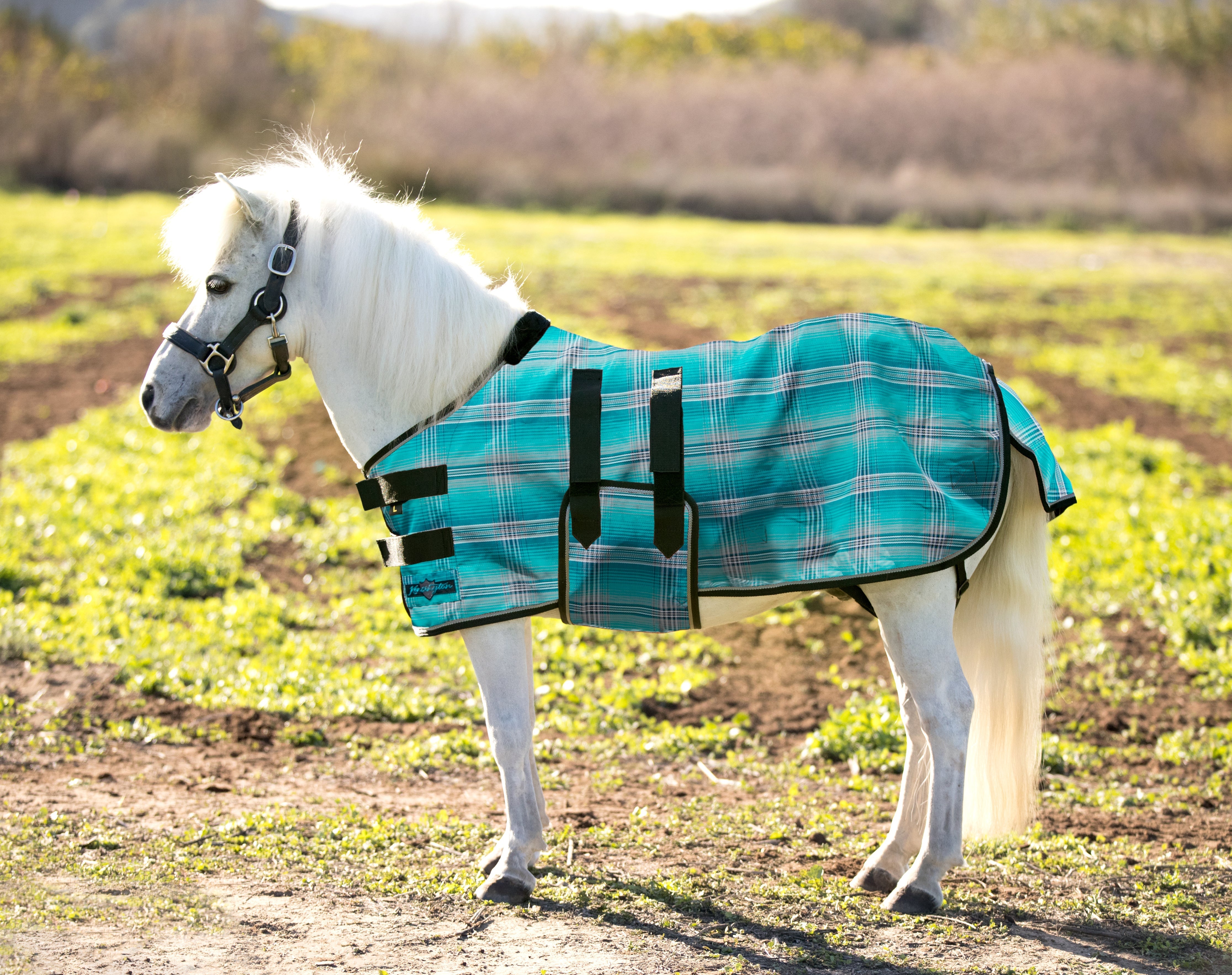 73% UV Mini Protective Fly Sheet Designed for an ideal Fit - Kensington Protective Products - Equiluxe Tack