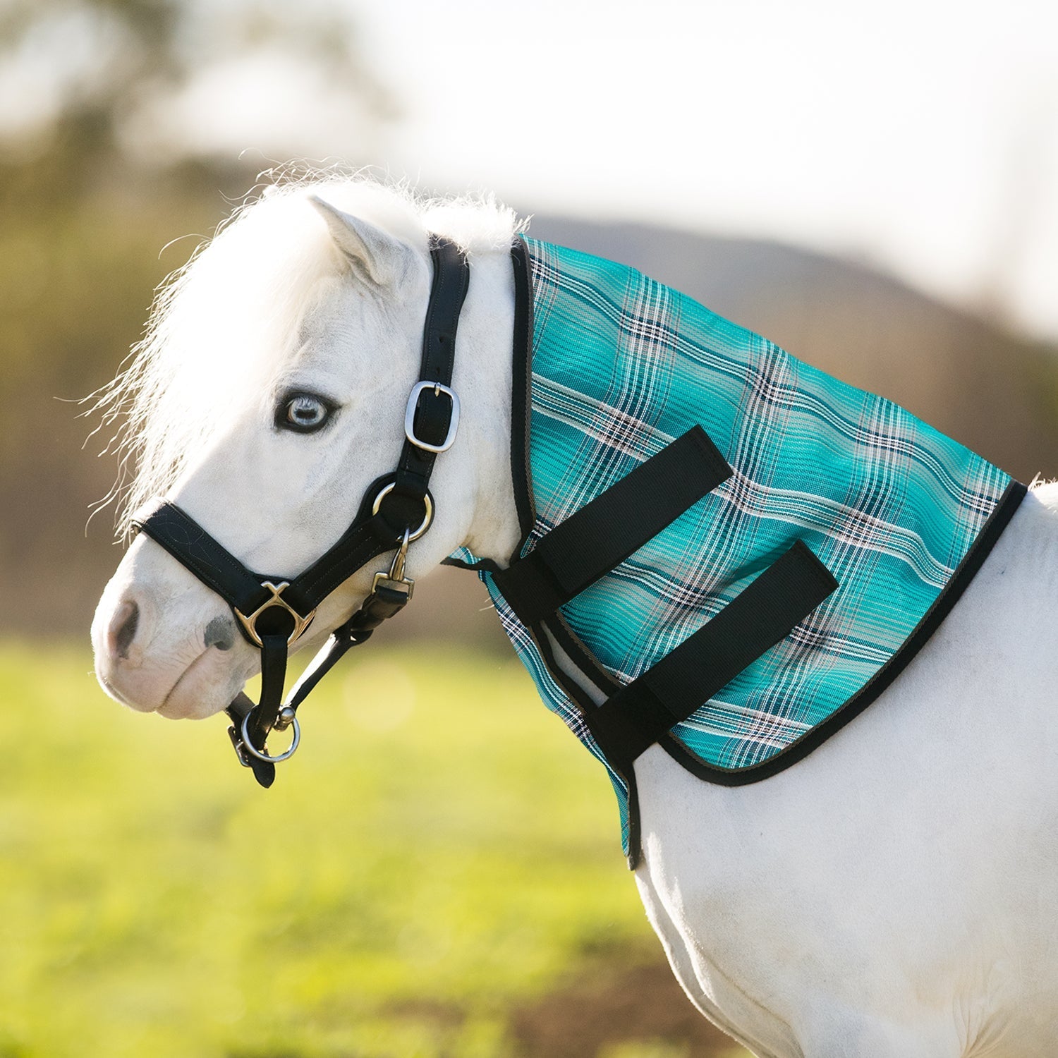 73% UV Mini Protective Neck Cover - Kensington Protective Products - Equiluxe Tack