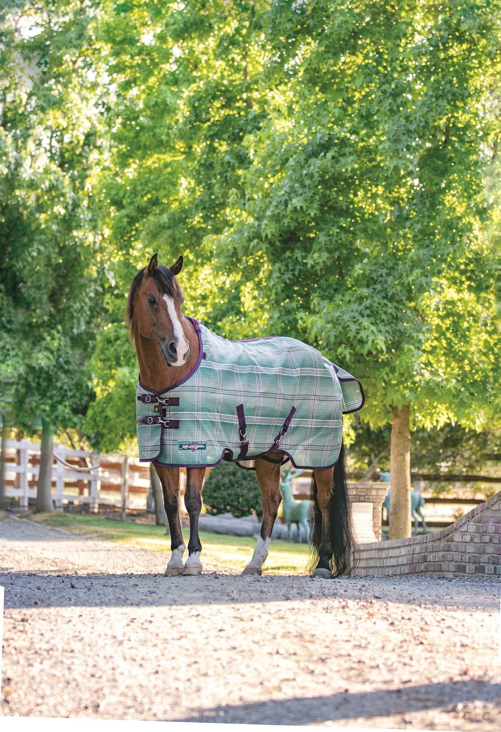 73% UV Pony Protective Fly Sheet SureFit® Design for an ideal Fit - Kensington Protective Products - Equiluxe Tack