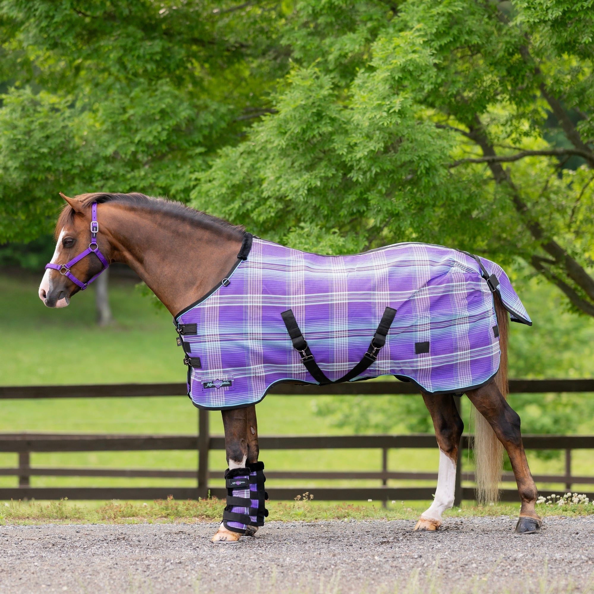 73% UV Pony Protective Fly Sheet SureFit® Design for an ideal Fit - Kensington Protective Products - Equiluxe Tack