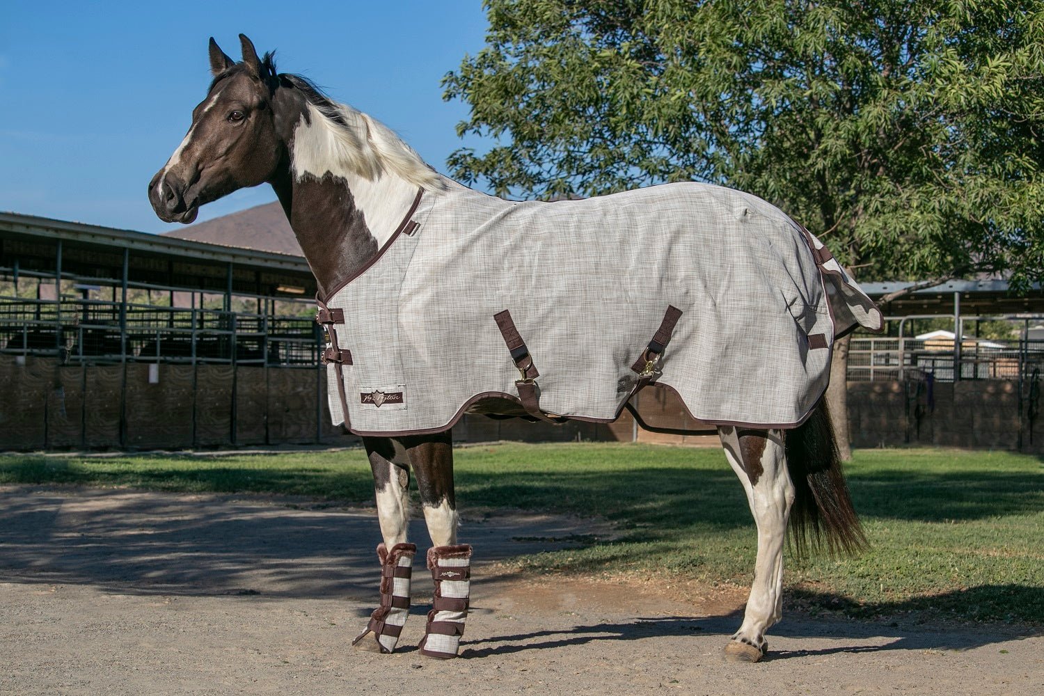 73% UV Pony Protective Fly Sheet SureFit® Design for an ideal Fit - Kensington Protective Products - Equiluxe Tack