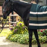 PS of Sweden Striped Wool Blanket - Midnight Green