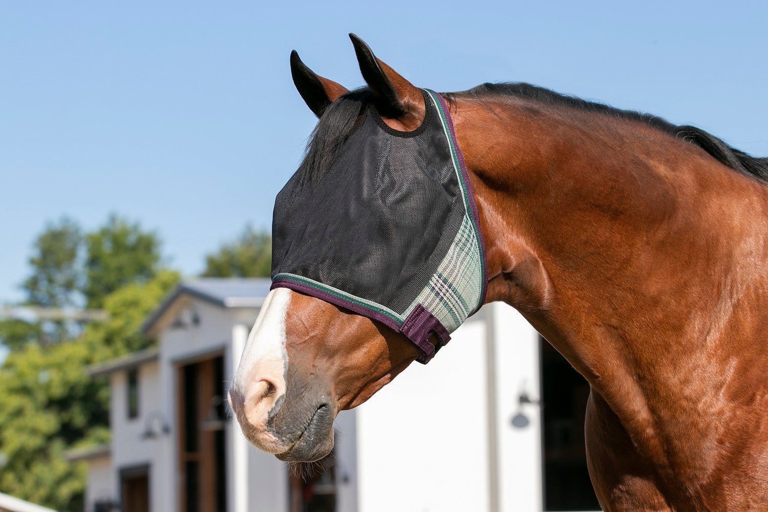 90% UV Fly Mask CatchMask UViator - Dual Ear Opening & Forelock Freedom - Kensington Protective Products - Equiluxe Tack