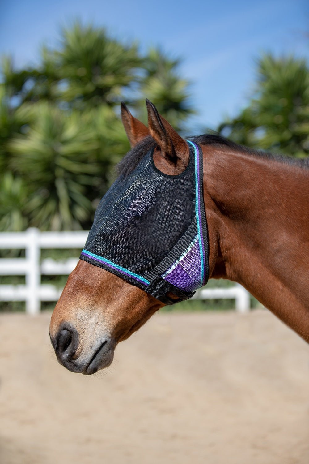 90% UV Fly Mask CatchMask UViator - Dual Ear Opening & Forelock Freedom - Kensington Protective Products - Equiluxe Tack